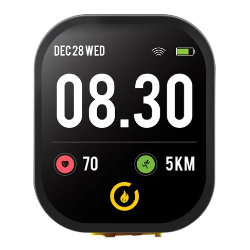 Crowpanel 2.01" Watch